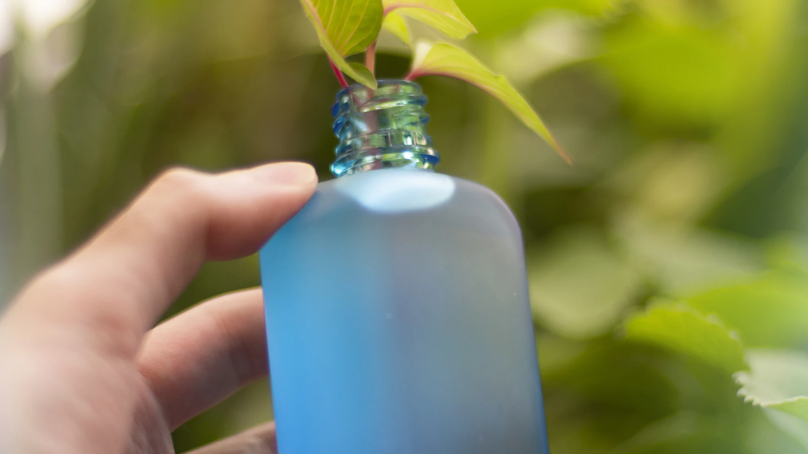 Cuándo y cómo abonar tus plantas sin pasarte