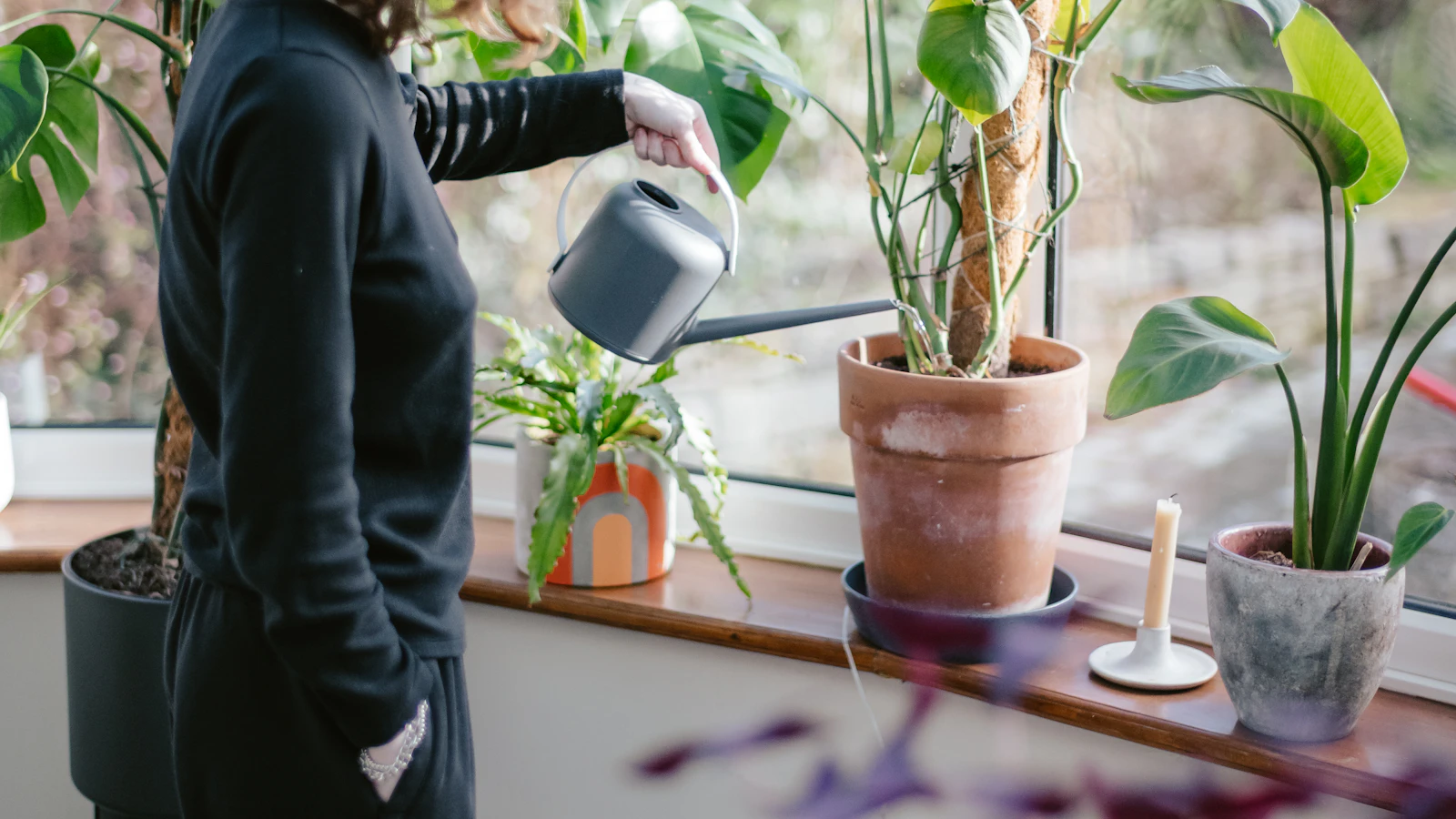 Cómo regar tus plantas cuando te vas de vacaciones