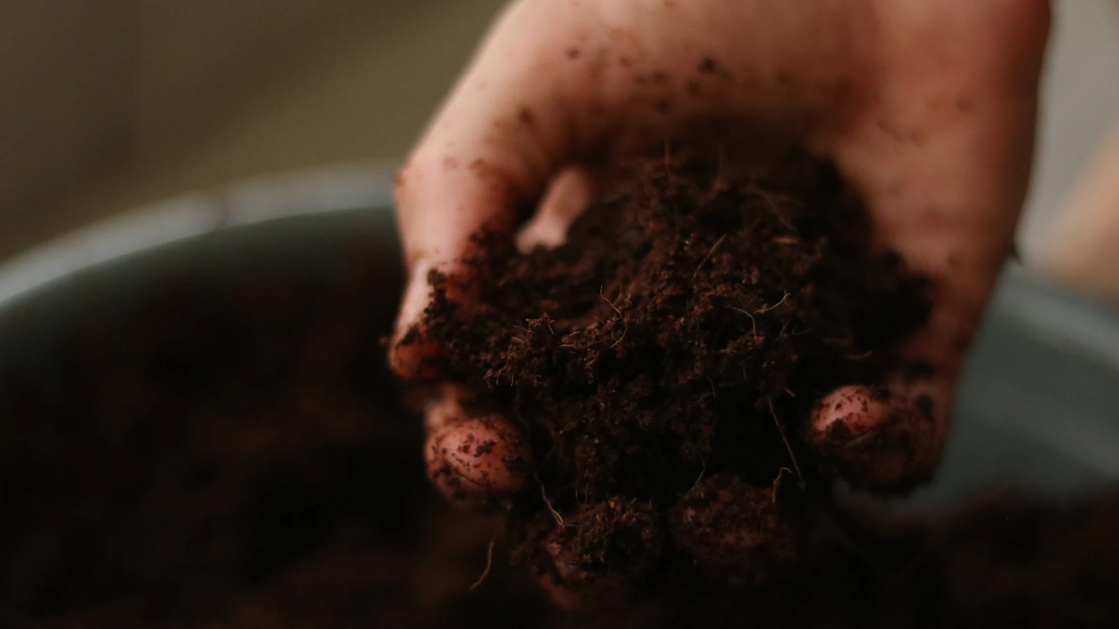 Qué sustrato elegir según lo que cultives: universal, huerto urbano o plantas ácidas