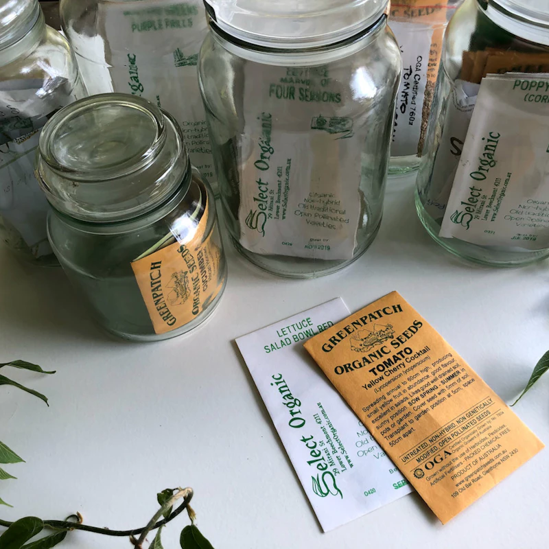 Kit de huerto urbano: cuál elegir según lo que quieras cultivar y tu presupuesto