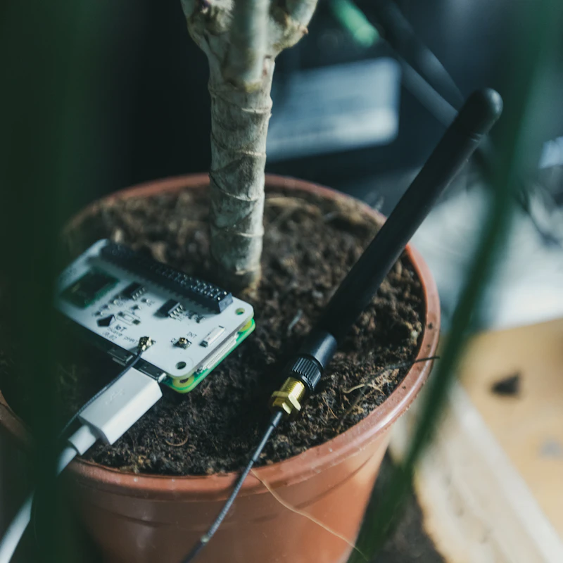 Medidor de humedad para plantas: ¿sirve de verdad o es mejor fiarte del dedo?