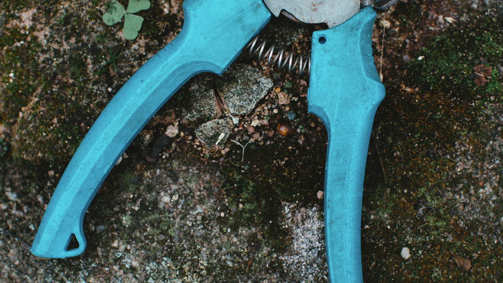 Podar bien: herramientas de precisión y protección para tu jardín