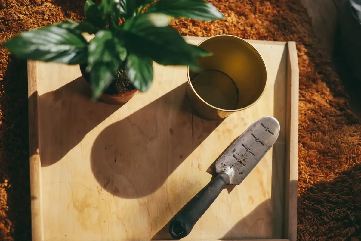 Herramientas de jardinería en caja de madera
