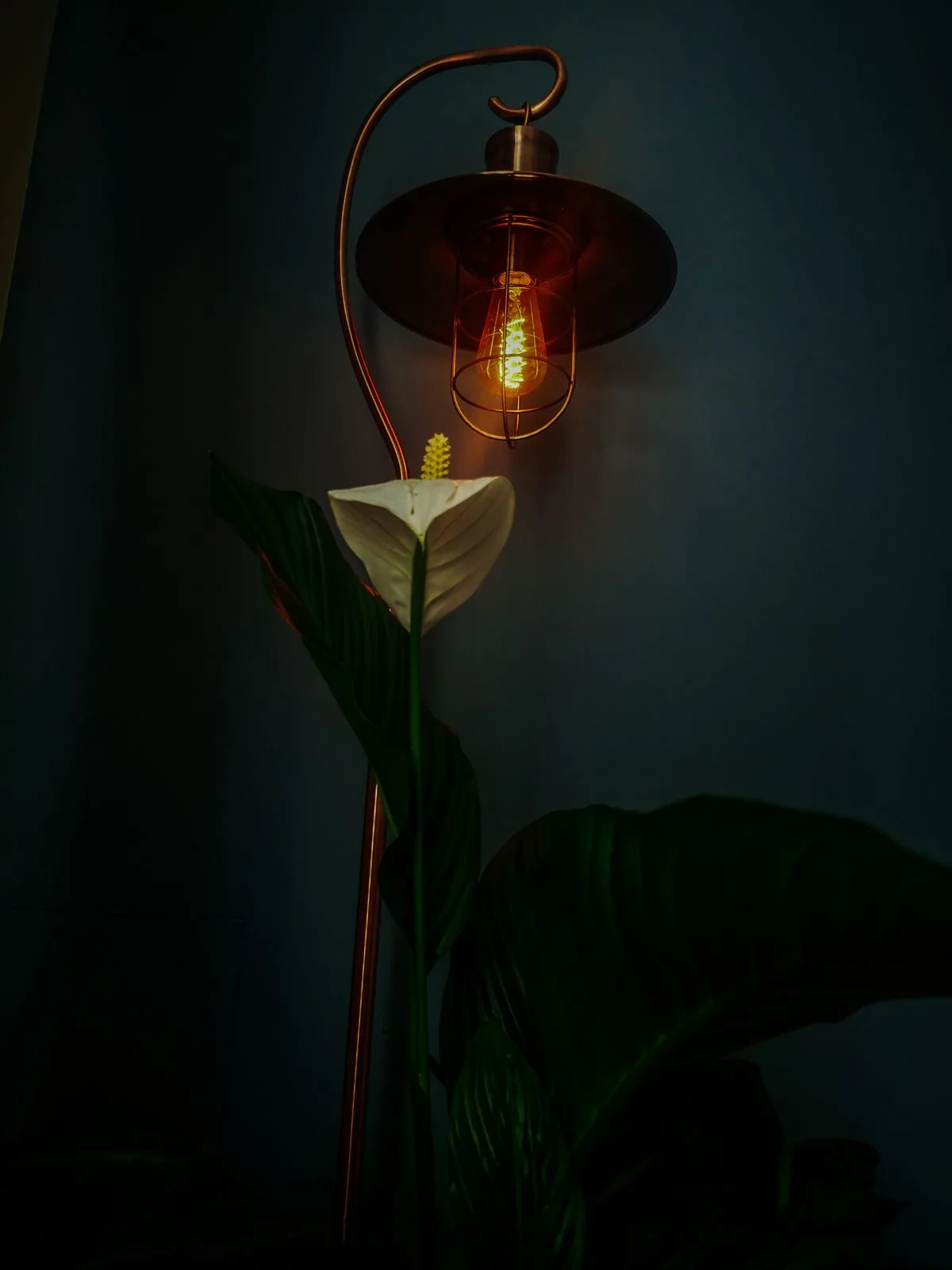 Lámpara encendida junto a una planta en la penumbra